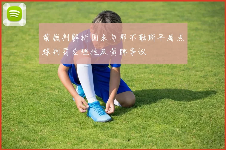 前裁判解析国米与那不勒斯平局点球判罚合理性及黄牌争议