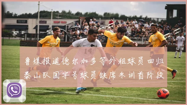 鲁媒报道德尔加多等外租球员回归泰山队国字号球员缺席冬训首阶段
