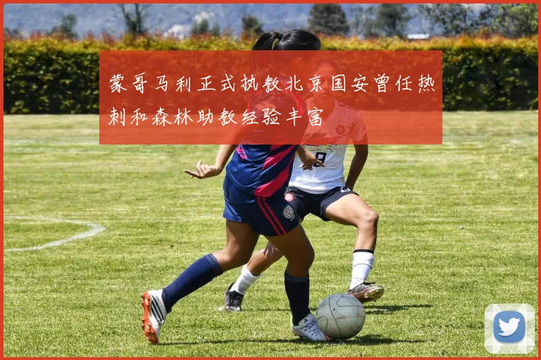 蒙哥马利正式执教北京国安曾任热刺和森林助教经验丰富